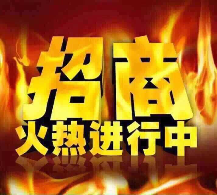 莱普帝斯集成灶新的商业模式 破解盈利难题 助推品牌爆炸式增长！