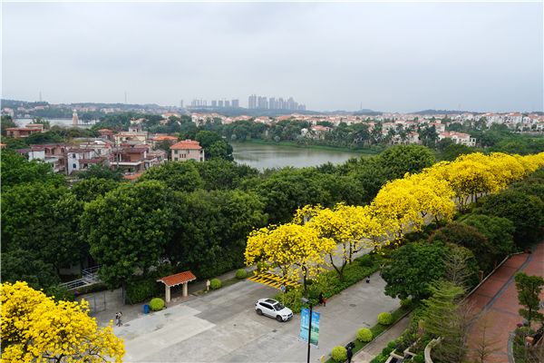 微信图片_202003231043322.jpg