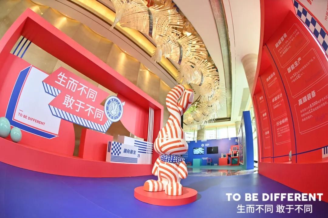 白兔.jpg