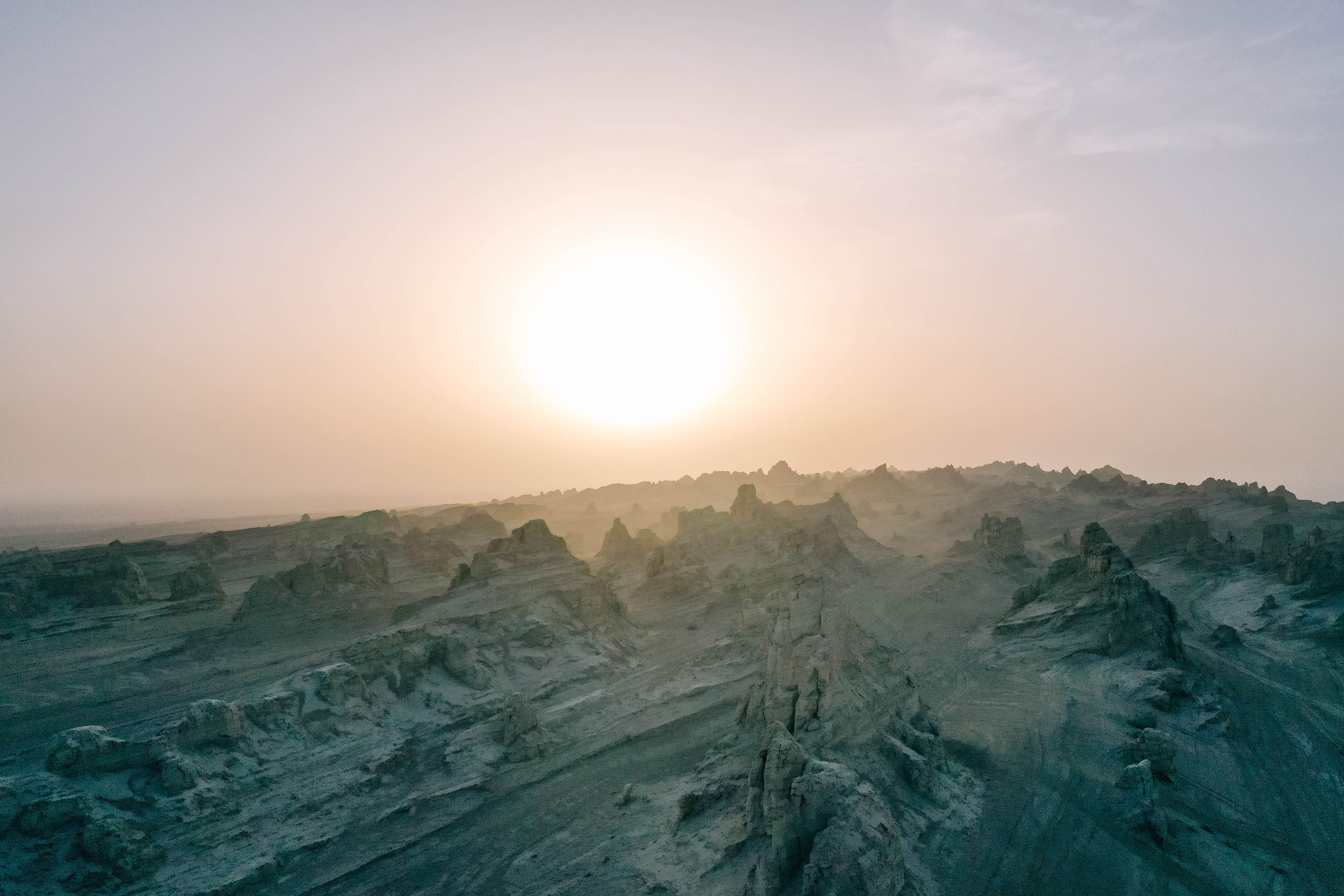 DJI_0559.jpg