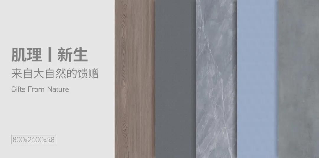 东鹏5.jpg