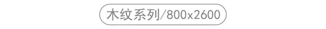 东鹏7.jpg