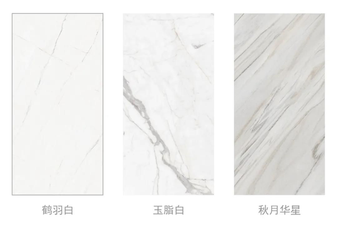 东鹏26.jpg