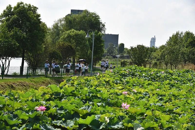 江西7.jpg