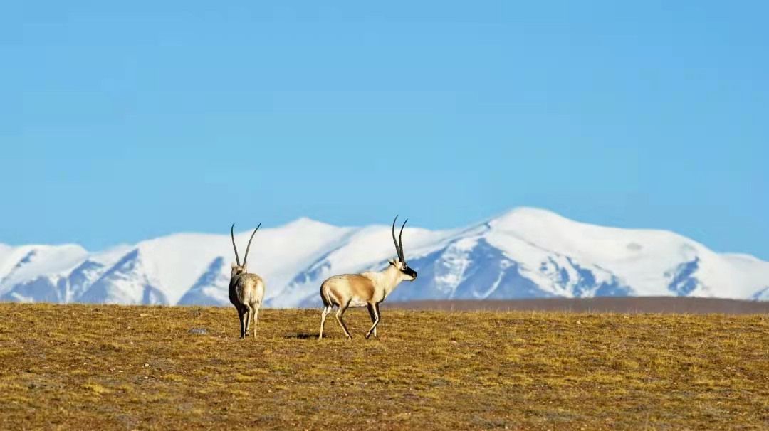 1631499879674896.jpg 让关怀在路上——帝王洁具绿色公益行 (16).jpg