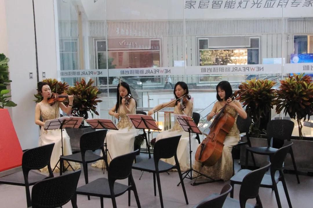 小提琴.jpg