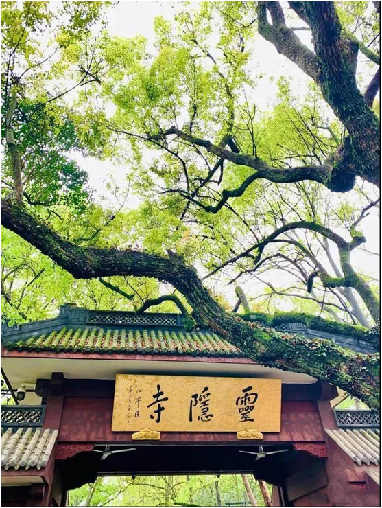 灵隐寺.jpg