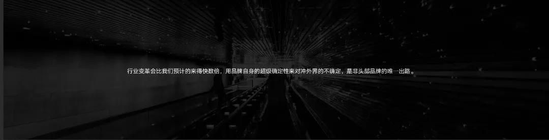 费罗娜25.jpg