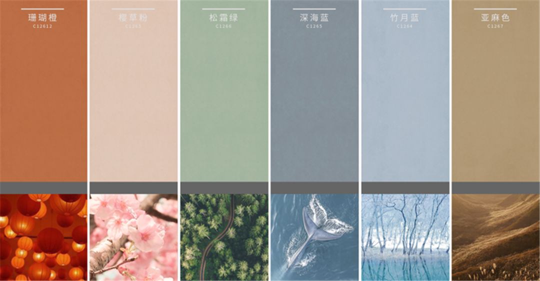 色色瓷砖2.jpg