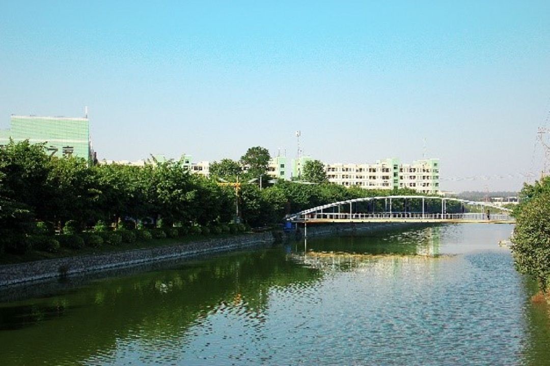 图6.jpg