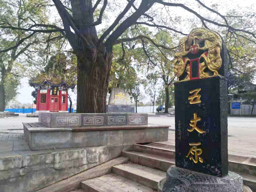 图片 3.png
